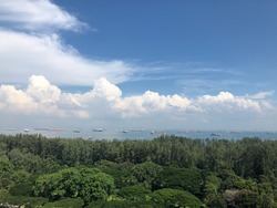 The Atria At Meyer (D15), Condominium #176675662